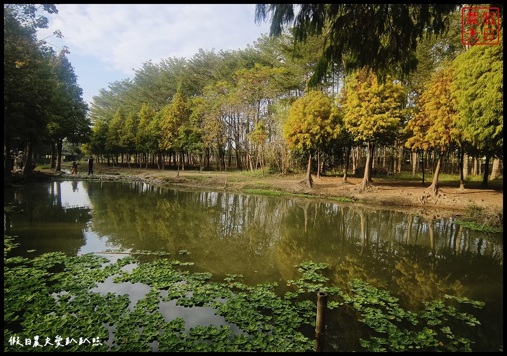 嘉義景點|魚寮落羽松．唯美落羽松森林倒影秘境超好拍 @假日農夫愛趴趴照