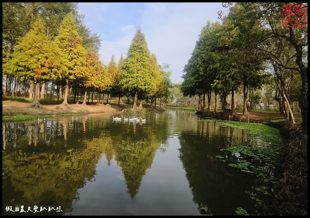 嘉義景點|魚寮落羽松．唯美落羽松森林倒影秘境超好拍 @假日農夫愛趴趴照