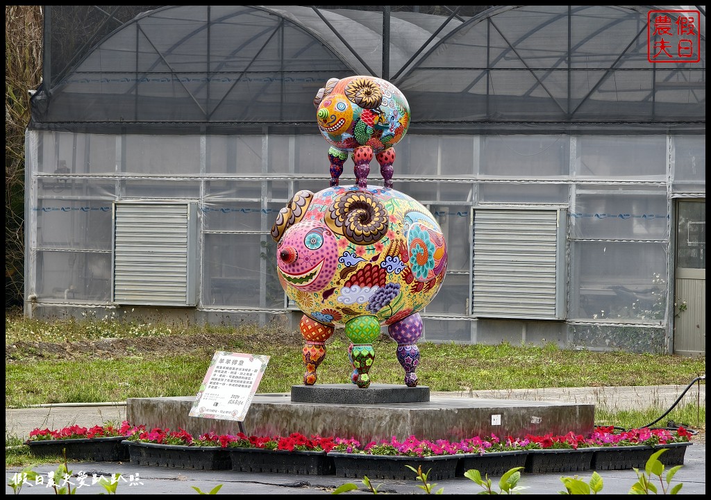 2024花在彰化在溪州公園|免費走春賞花好去處．來彰化走春賞花賞燈嘗美食 @假日農夫愛趴趴照