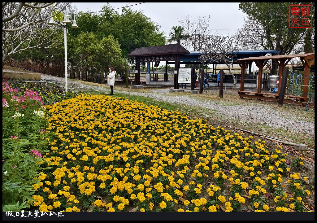 2024花在彰化在溪州公園|免費走春賞花好去處．來彰化走春賞花賞燈嘗美食 @假日農夫愛趴趴照