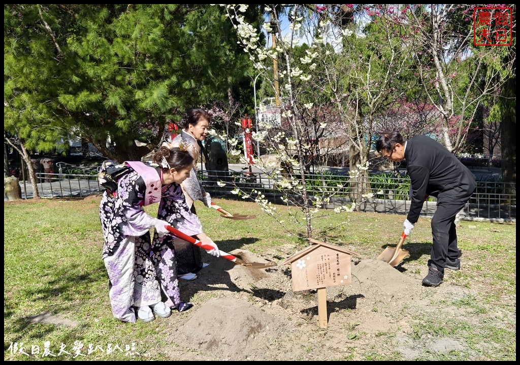 南投九族櫻花祭|跟著日本櫻花女王來賞櫻 櫻花饗宴/櫻花餐桌/九族文化村 @假日農夫愛趴趴照