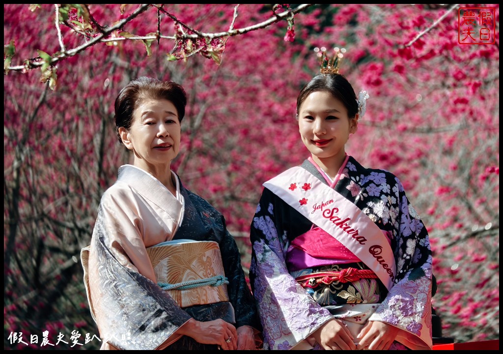 南投九族櫻花祭|跟著日本櫻花女王來賞櫻 櫻花饗宴/櫻花餐桌/九族文化村 @假日農夫愛趴趴照