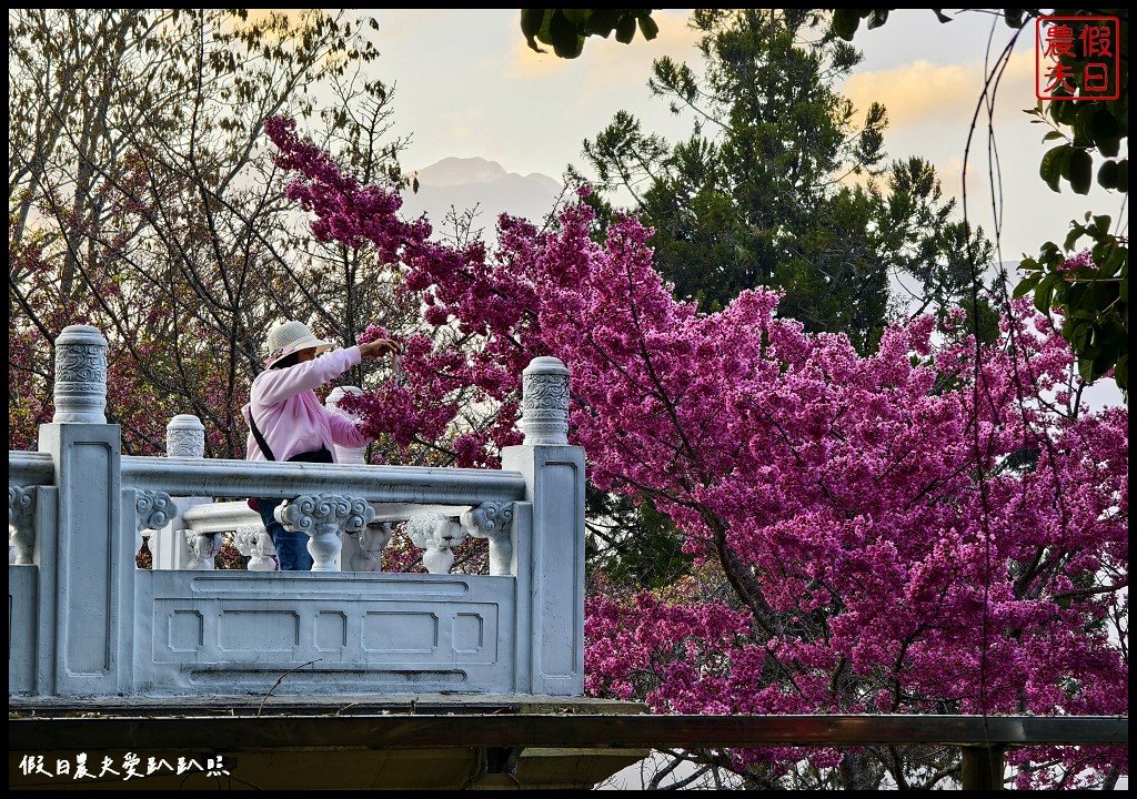 台中住宿|梨山賓館．台灣最高宮殿旅館/早餐還有提供現煮的擔仔麵很好吃 @假日農夫愛趴趴照