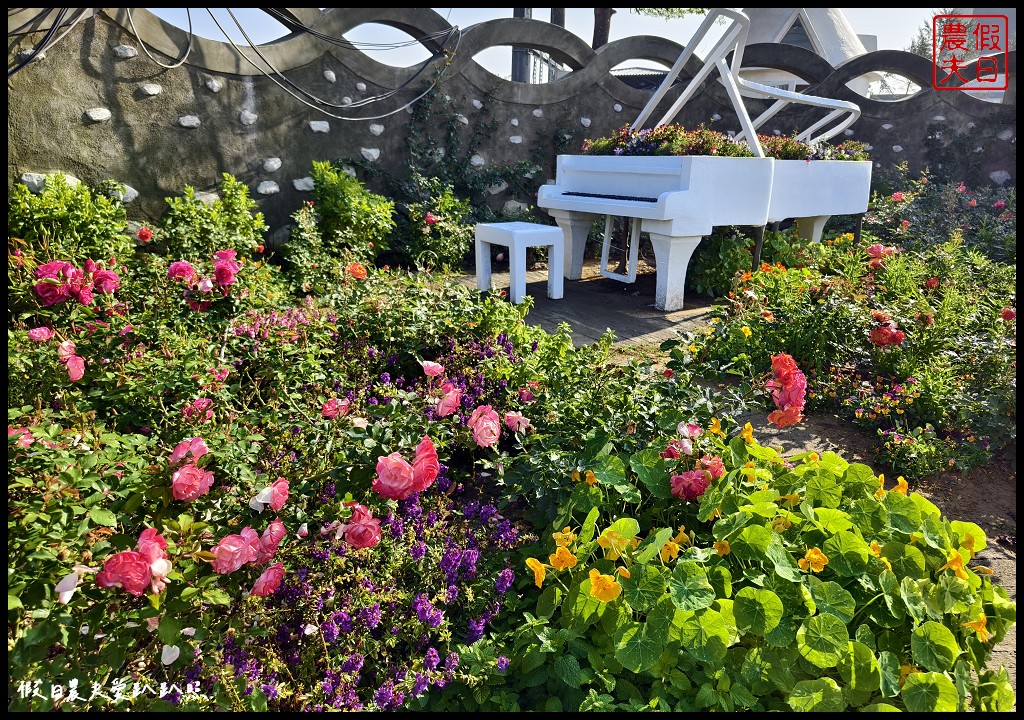 台南最新觀光工廠|雅聞湖濱療癒森林．歐風古典玫瑰花園試營運中 @假日農夫愛趴趴照