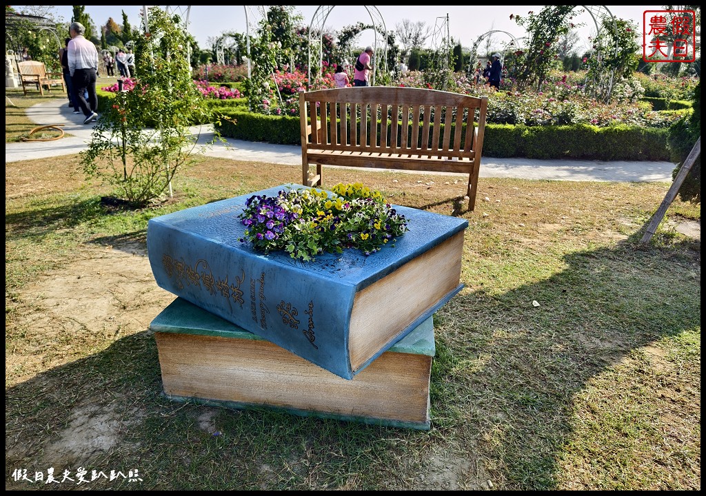 台南最新觀光工廠|雅聞湖濱療癒森林．歐風古典玫瑰花園試營運中 @假日農夫愛趴趴照