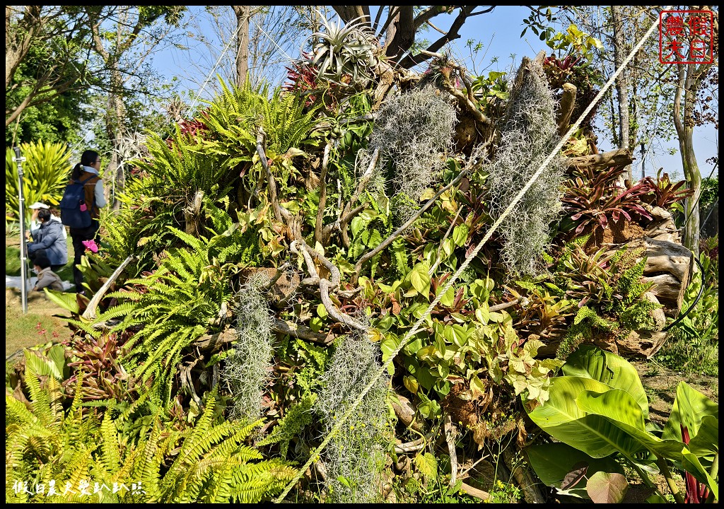 台南最新觀光工廠|雅聞湖濱療癒森林．歐風古典玫瑰花園試營運中 @假日農夫愛趴趴照