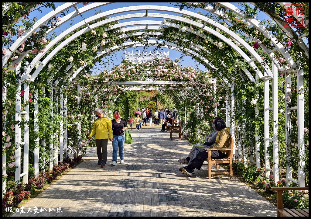 台南最新觀光工廠|雅聞湖濱療癒森林．歐風古典玫瑰花園試營運中 @假日農夫愛趴趴照