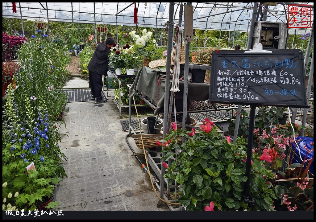 彰化田尾香久園|一年只開放一次．台灣少見的英式花園風格/預約制 @假日農夫愛趴趴照