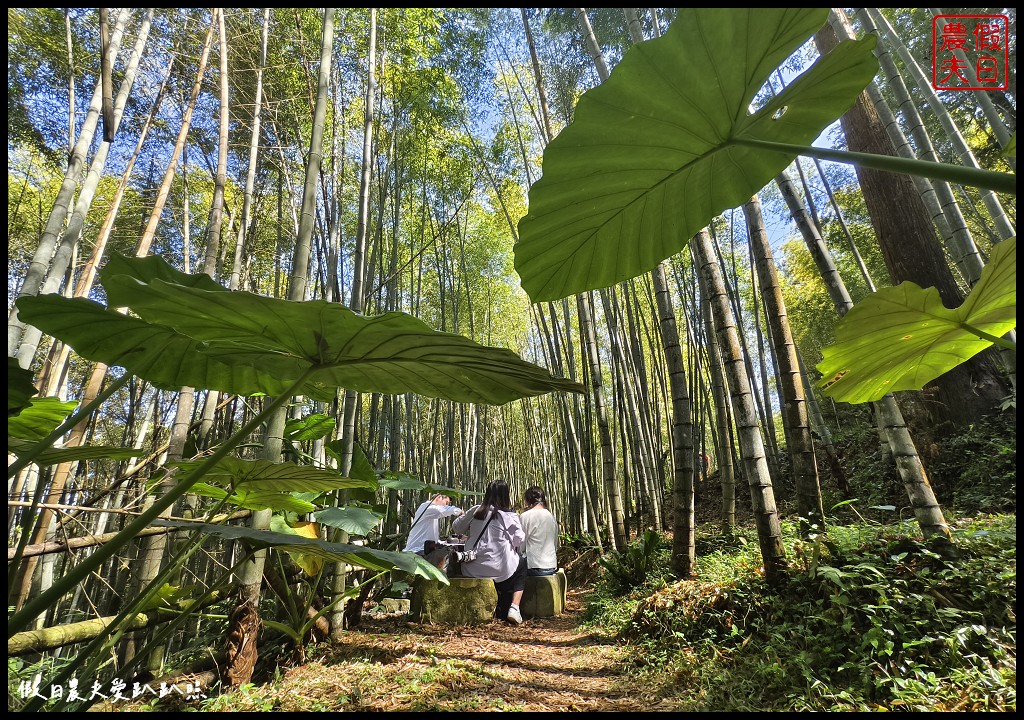 2024瑞里紫藤花季|浪漫紫色山城．浪漫紫藤星球等你來拍照打卡/紫藤花開 浪漫來嘉 @假日農夫愛趴趴照