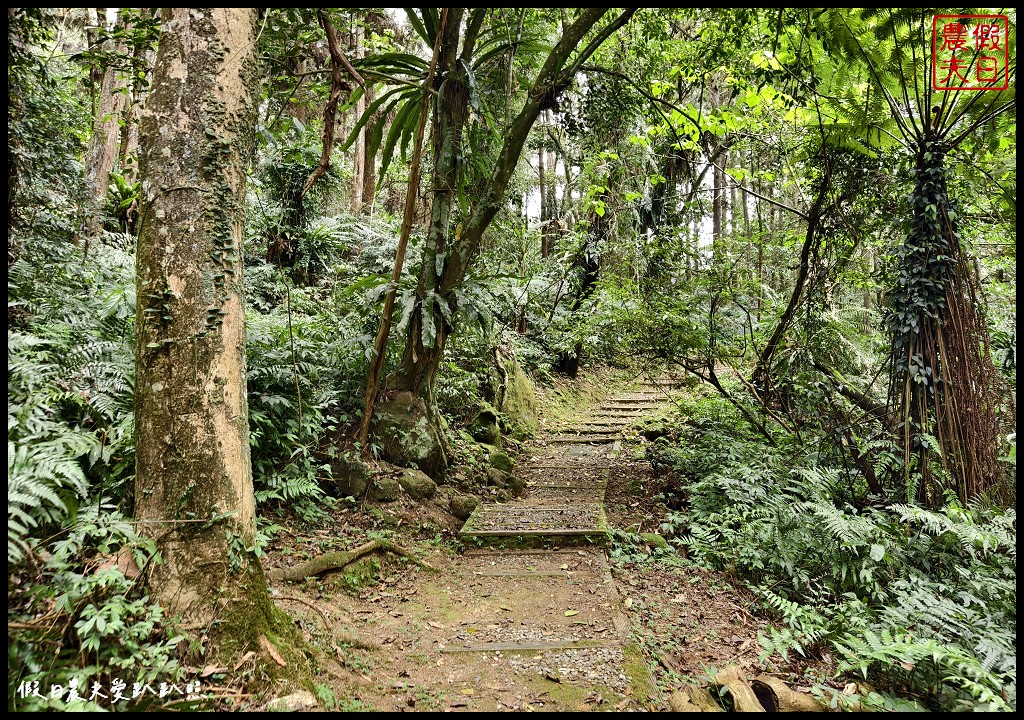 鳳凰自然教育園區|住宿鳳凰森之鳴融入大自然的懷抱/螢火蟲期間限定導覽 @假日農夫愛趴趴照