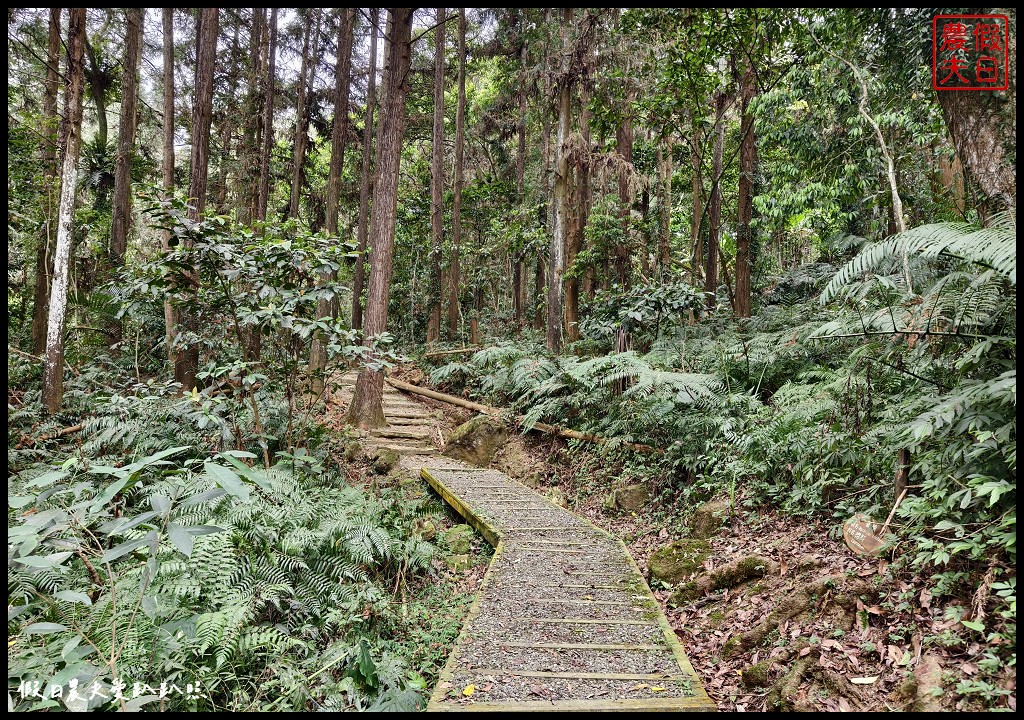 鳳凰自然教育園區|住宿鳳凰森之鳴融入大自然的懷抱/螢火蟲期間限定導覽 @假日農夫愛趴趴照