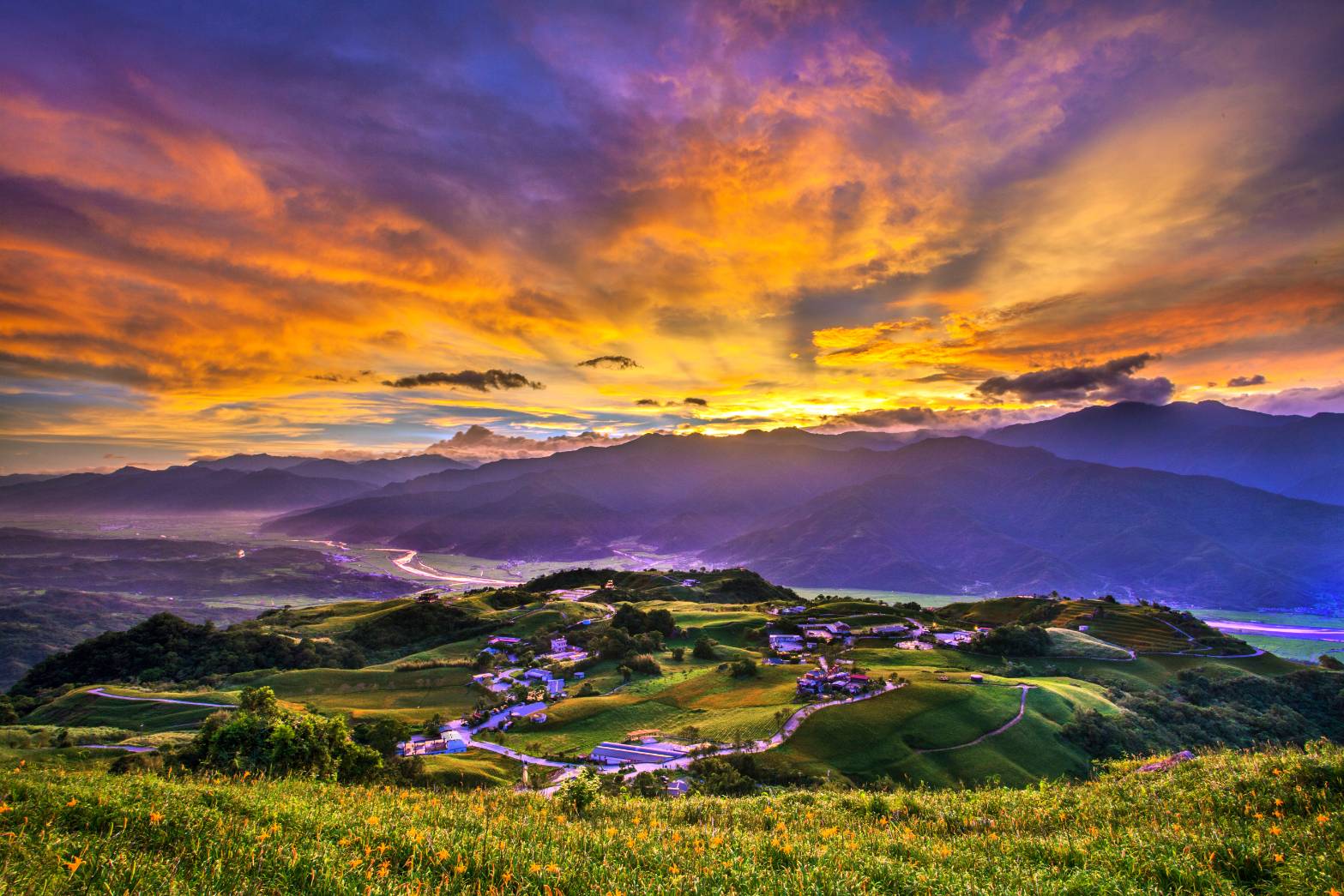 花蓮富里景點|六十石山．可吃可賞可玩的金針花/季節限定的美景 @假日農夫愛趴趴照