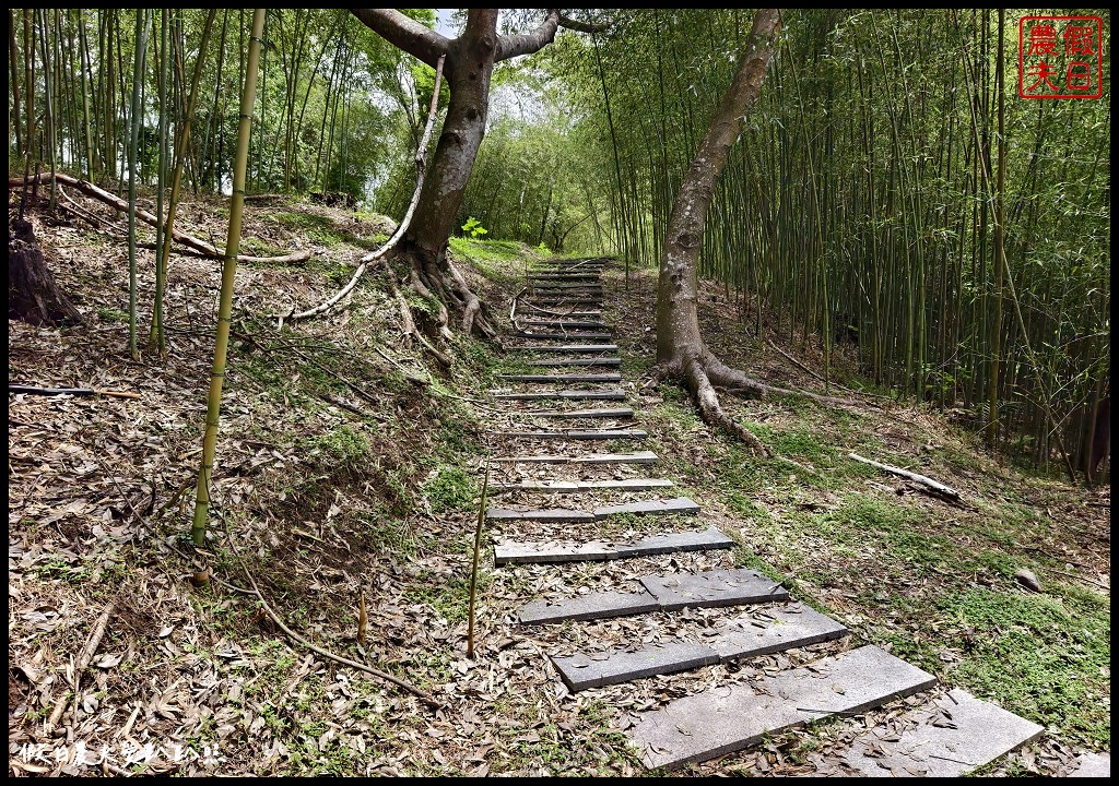 花蓮富里景點|六十石山．可吃可賞可玩的金針花/季節限定的美景 @假日農夫愛趴趴照