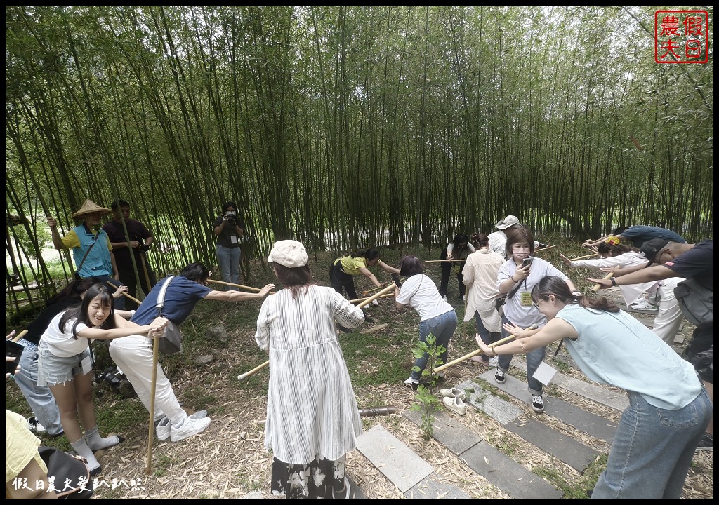 花蓮富里景點|六十石山．可吃可賞可玩的金針花/季節限定的美景 @假日農夫愛趴趴照