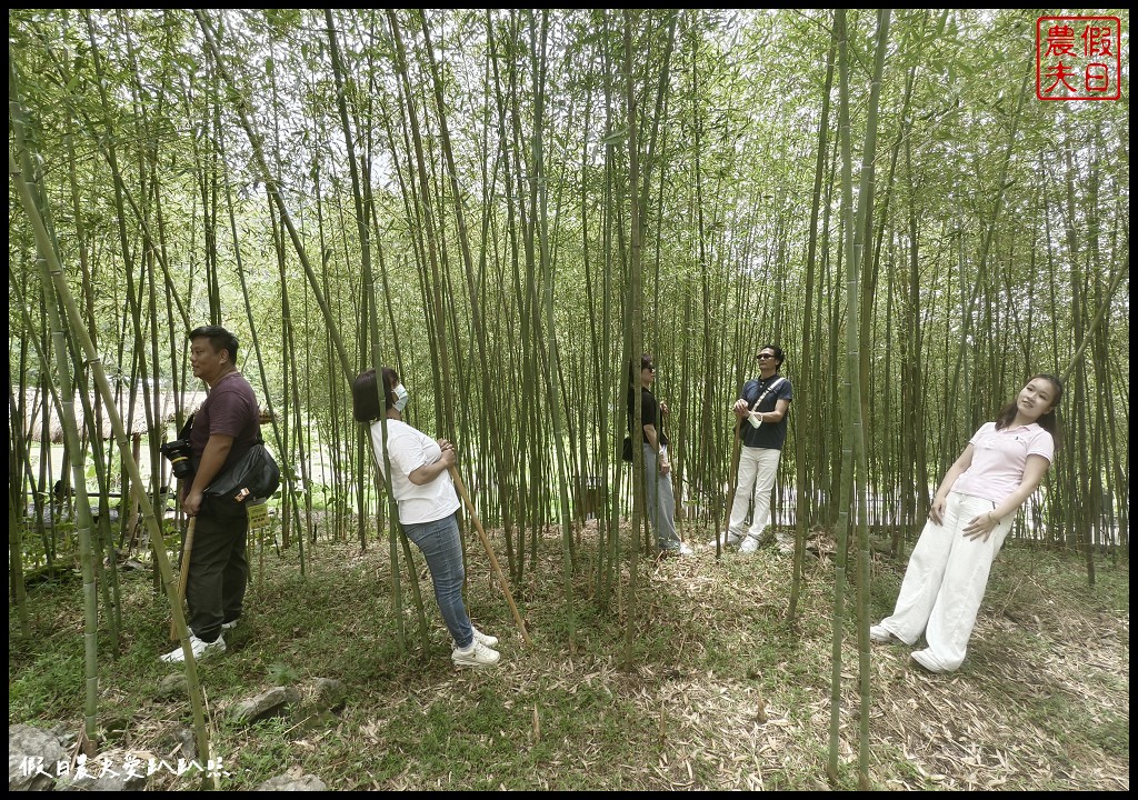 花蓮富里景點|六十石山．可吃可賞可玩的金針花/季節限定的美景 @假日農夫愛趴趴照