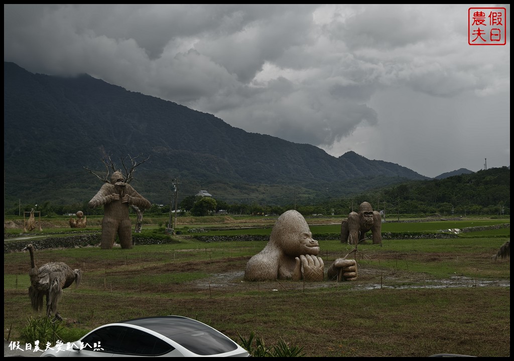 花蓮富里景點|六十石山．可吃可賞可玩的金針花/季節限定的美景 @假日農夫愛趴趴照