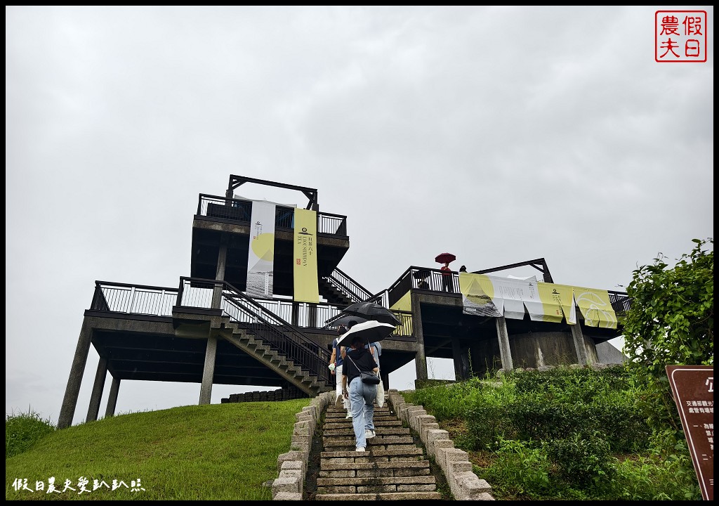 花蓮富里景點|六十石山．可吃可賞可玩的金針花/季節限定的美景 @假日農夫愛趴趴照