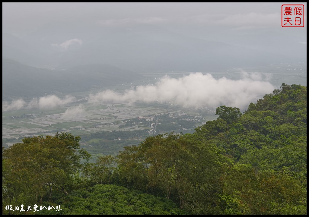 花蓮富里景點|六十石山．可吃可賞可玩的金針花/季節限定的美景 @假日農夫愛趴趴照