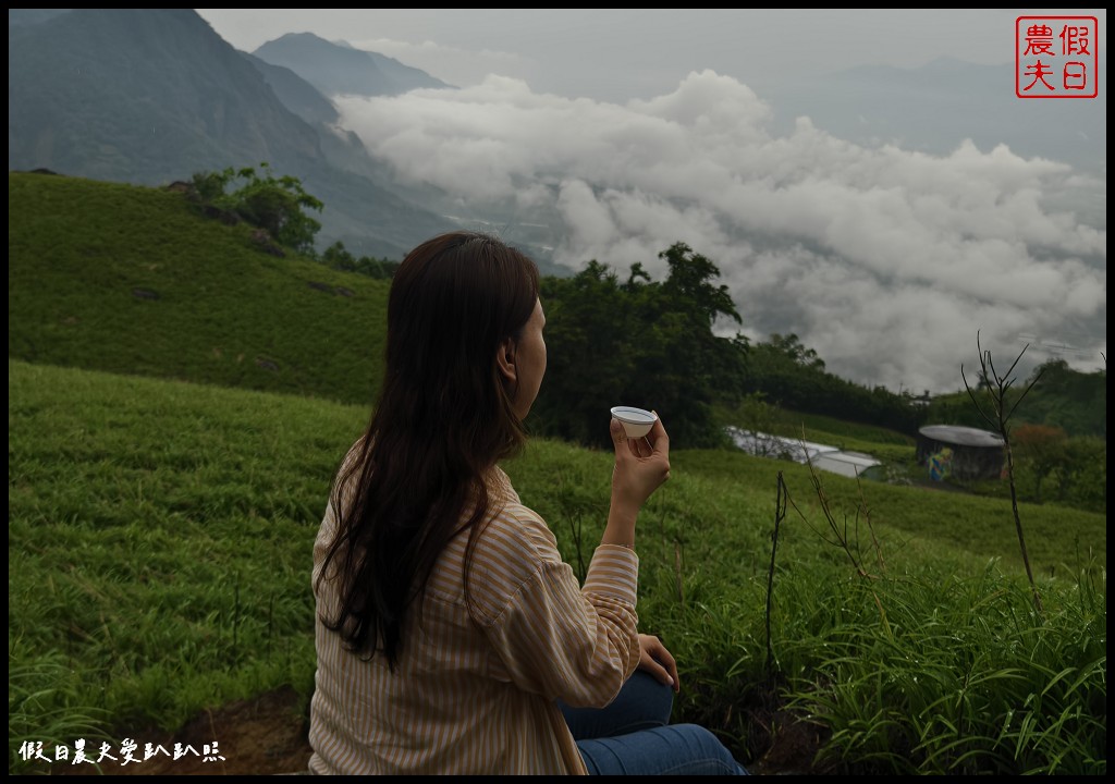 花蓮富里景點|六十石山．可吃可賞可玩的金針花/季節限定的美景 @假日農夫愛趴趴照