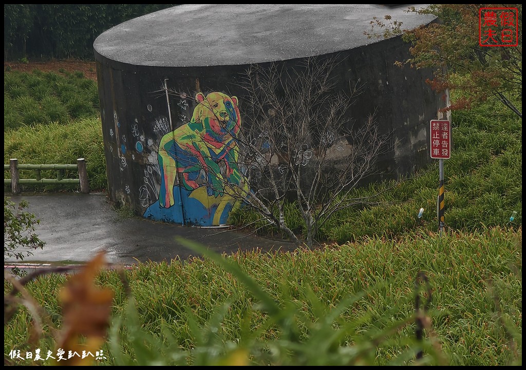 花蓮富里景點|六十石山．可吃可賞可玩的金針花/季節限定的美景 @假日農夫愛趴趴照