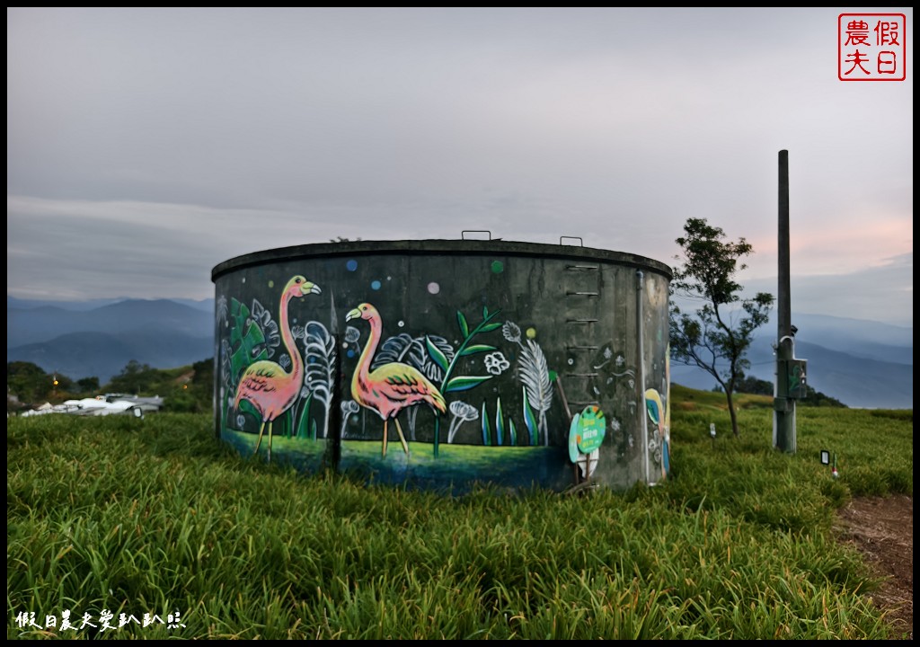 花蓮富里景點|六十石山．可吃可賞可玩的金針花/季節限定的美景 @假日農夫愛趴趴照