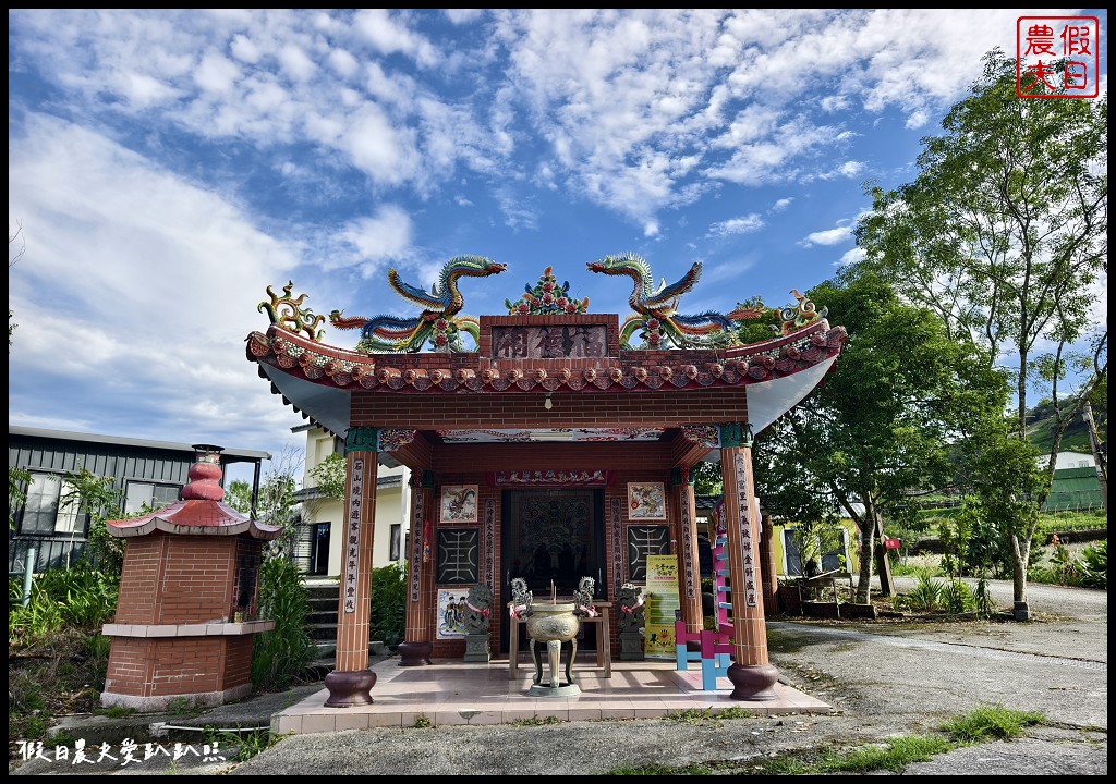 花蓮富里景點|六十石山．可吃可賞可玩的金針花/季節限定的美景 @假日農夫愛趴趴照