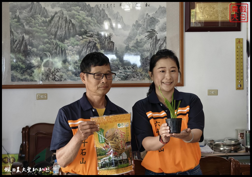 花蓮富里景點|六十石山．可吃可賞可玩的金針花/季節限定的美景 @假日農夫愛趴趴照