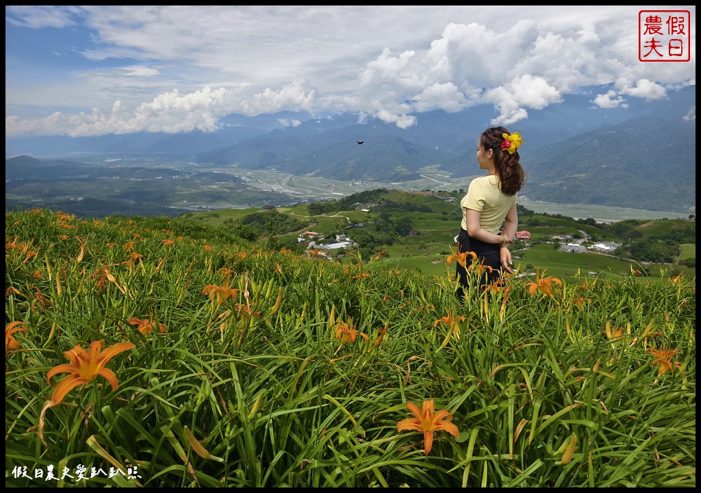 花蓮富里景點|六十石山．可吃可賞可玩的金針花/季節限定的美景 @假日農夫愛趴趴照