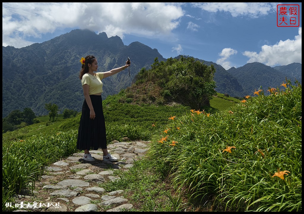 花蓮富里景點|六十石山．可吃可賞可玩的金針花/季節限定的美景 @假日農夫愛趴趴照