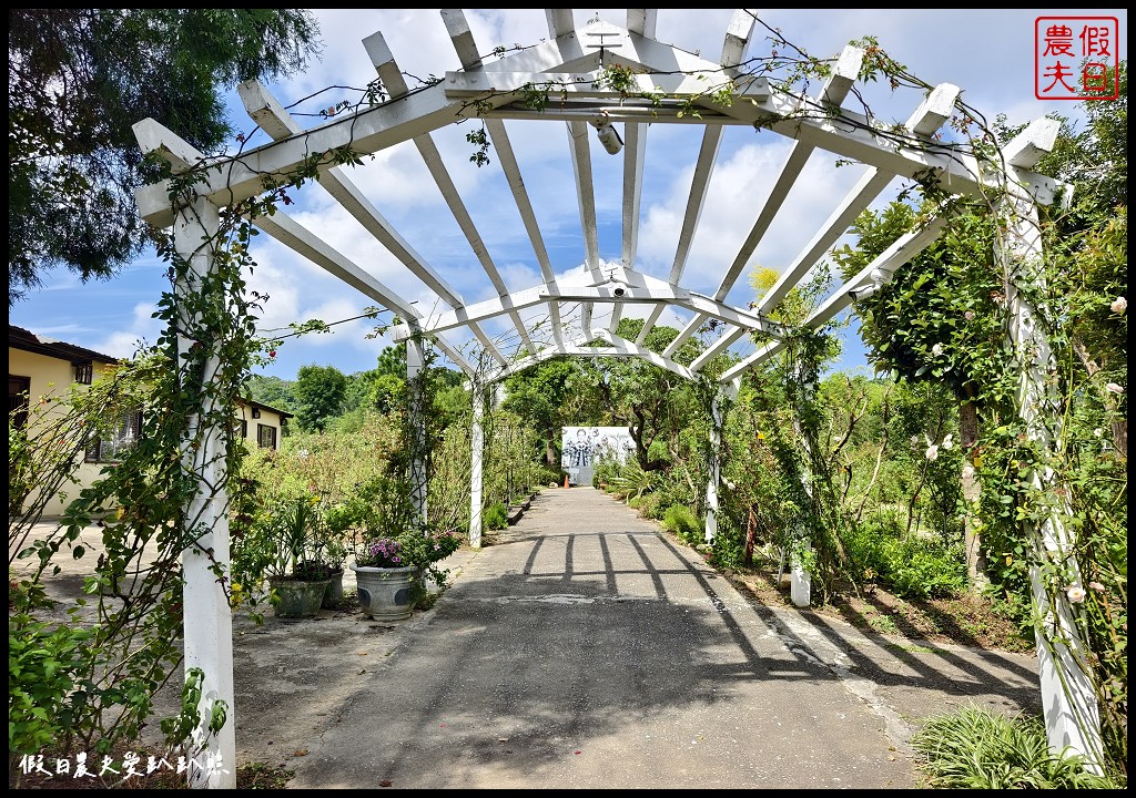 2024三義木雕藝術節|車亭休息站×雅聞香草植物工廠×賴新魁麵館×鯉魚潭水庫 @假日農夫愛趴趴照