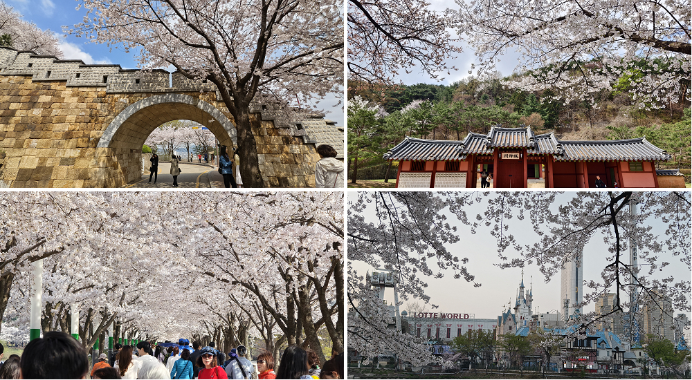 台南住宿|文化信然商旅．近大東夜市台南市文化中心巴克禮公園 @假日農夫愛趴趴照