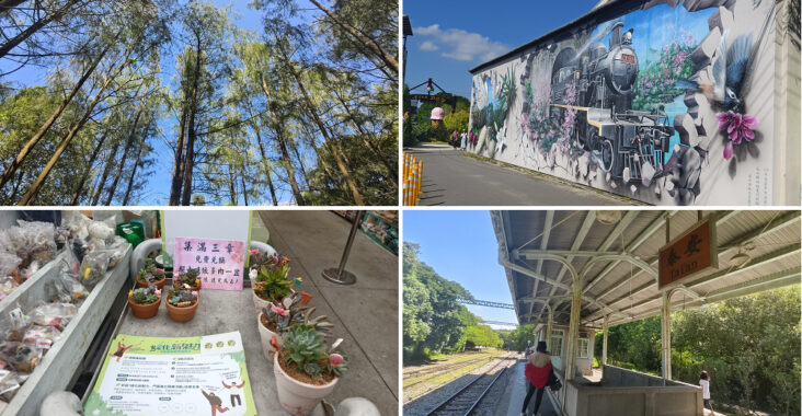 台中后里泰安低碳旅行|騎腳踏車深度探訪泰安鐵道文化園區/集章送多肉小盆栽 @假日農夫愛趴趴照