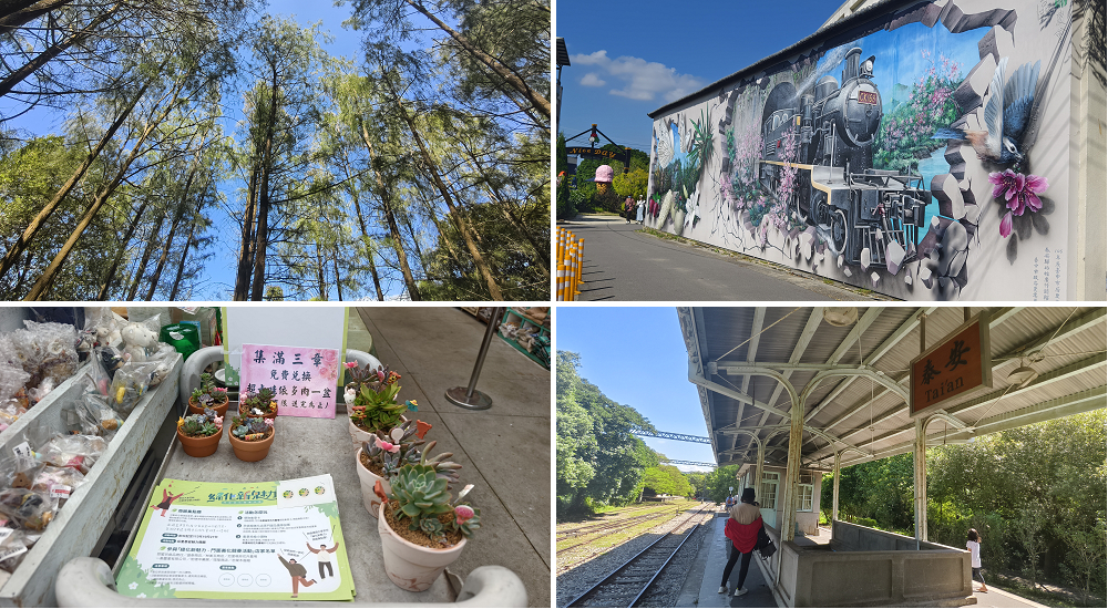 台中后里泰安低碳旅行|騎腳踏車深度探訪泰安鐵道文化園區/集章送多肉小盆栽 @假日農夫愛趴趴照