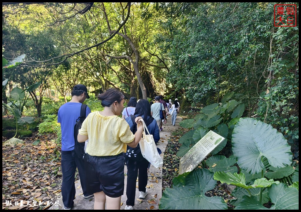 台中后里泰安低碳旅行|騎腳踏車深度探訪泰安鐵道文化園區/集章送多肉小盆栽 @假日農夫愛趴趴照