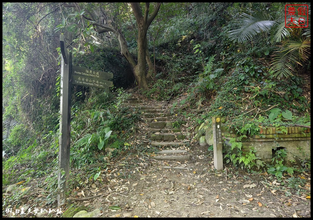 台中后里泰安低碳旅行|騎腳踏車深度探訪泰安鐵道文化園區/集章送多肉小盆栽 @假日農夫愛趴趴照