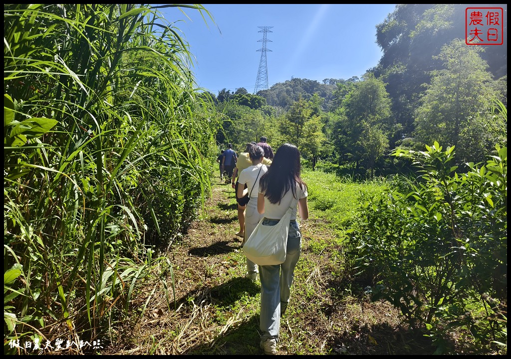 台中后里泰安低碳旅行|騎腳踏車深度探訪泰安鐵道文化園區/集章送多肉小盆栽 @假日農夫愛趴趴照