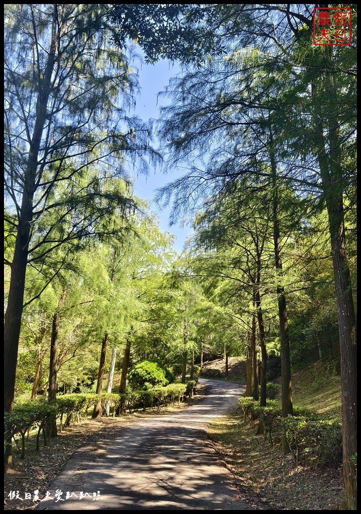 台中后里泰安低碳旅行|騎腳踏車深度探訪泰安鐵道文化園區/集章送多肉小盆栽 @假日農夫愛趴趴照