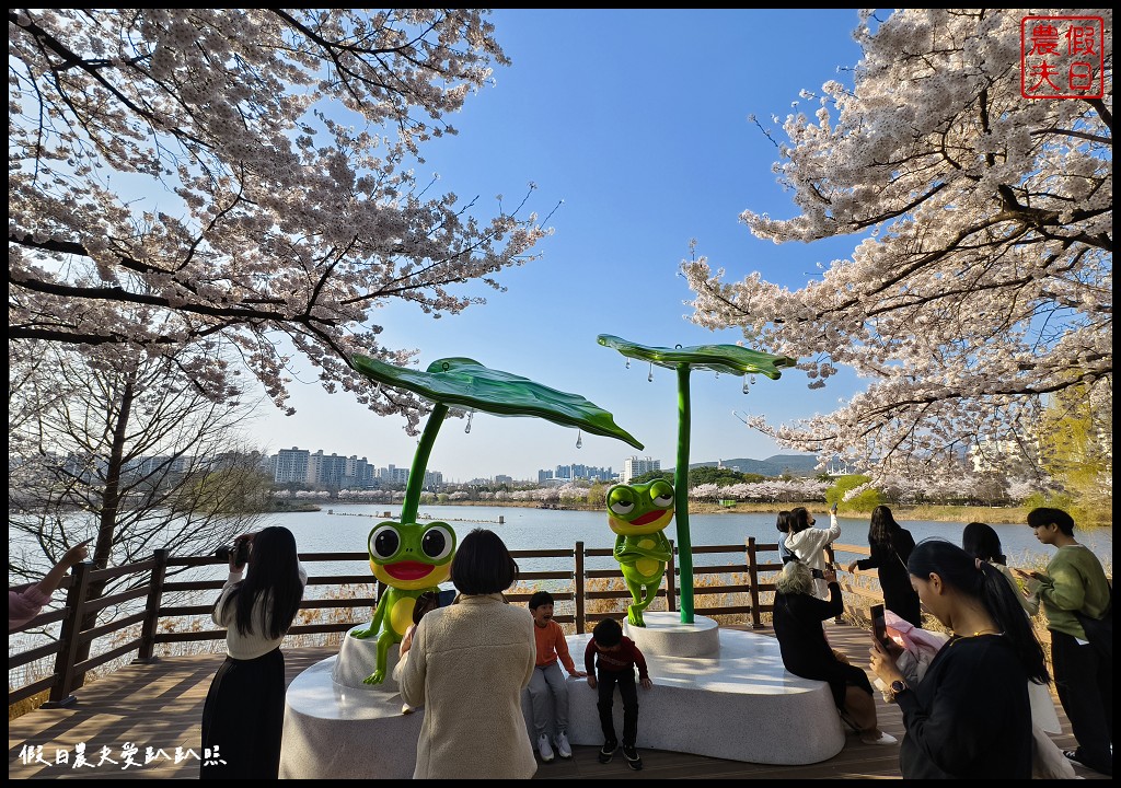 水原古華城賞櫻樂天湖水櫻花祭一日遊|華城行宮×燒烤午餐×水原櫻花名所×石村湖夜櫻 @假日農夫愛趴趴照