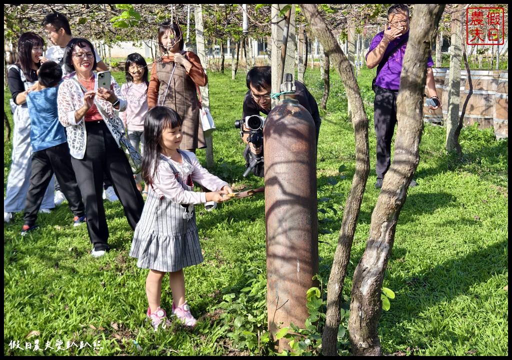 2024水流東好Chill紅酒嘉年華|樹生休閒酒莊．品酒下午茶、花果微醺熱紅酒 @假日農夫愛趴趴照