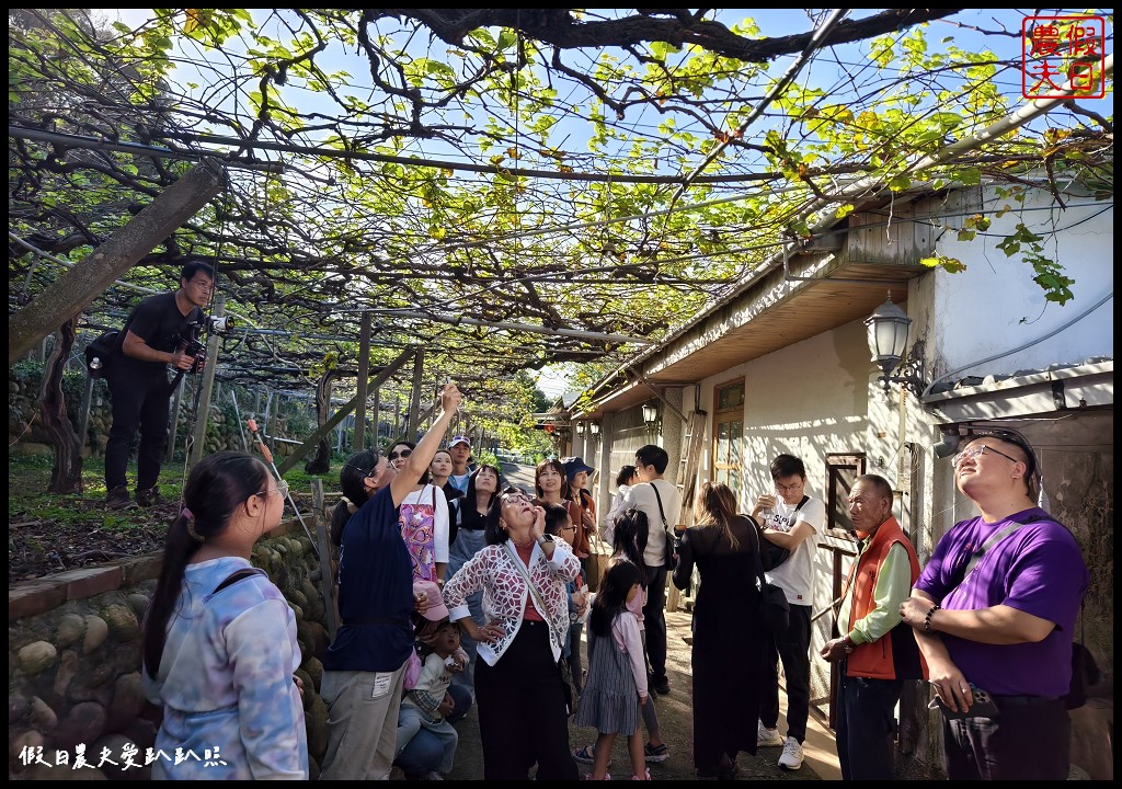 2024水流東好Chill紅酒嘉年華|樹生休閒酒莊．品酒下午茶、花果微醺熱紅酒 @假日農夫愛趴趴照