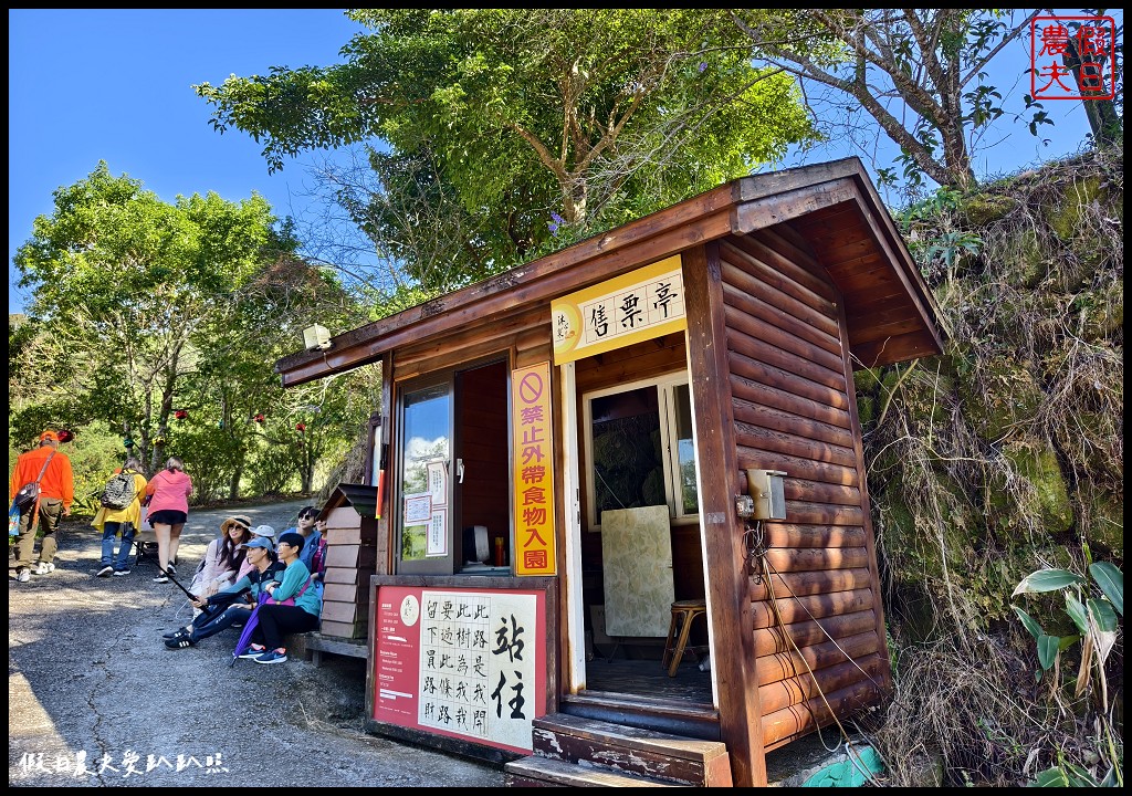 台中景點|沐心泉休閒農場．黃金楓隧道與白雪木的浪漫大道 @假日農夫愛趴趴照