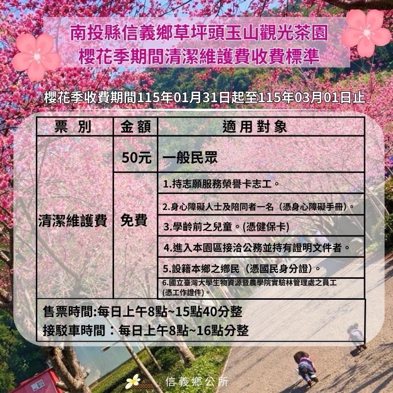 2026草坪頭玉山觀光茶園櫻花季|櫻花李花花況門票交通管制停車看這篇
