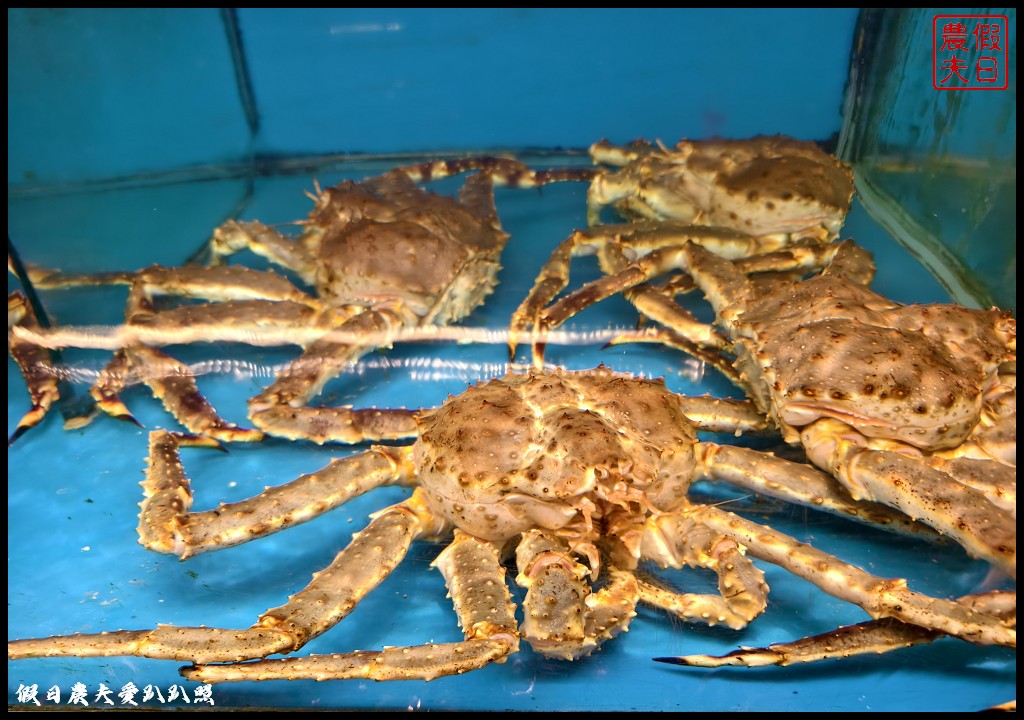 台中餐廳|石庭兼六園鐵板燒&日本料理.推薦午間限定的小仲馬法式鐵板燒超值套餐/私廚包廂/私廚料理 6 兼六園