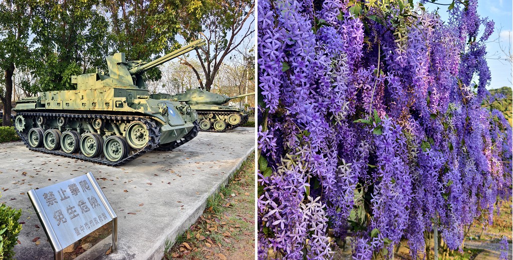 台中景點|塗城里社區公園．許願藤大爆花/紫爆超夢幻