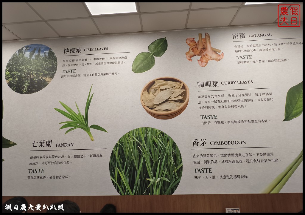 熱浪小島大里店