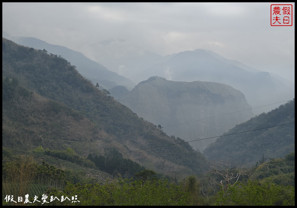 嘉義阿里山住宿|璦勒芬莊園民宿.絕美無邊際山景溫水游泳池 36 璦勒芬民宿